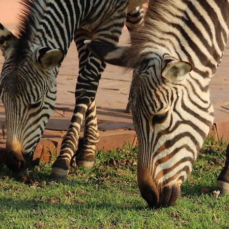 We Kebi Safari Lodge Sesriem Bagian luar foto